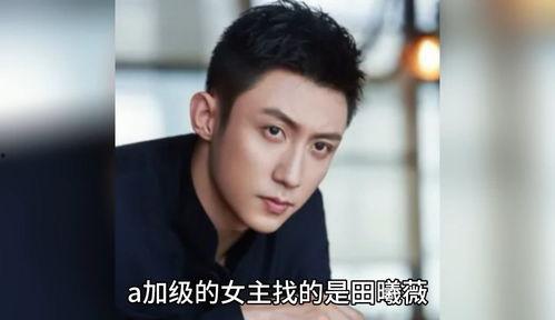 明星八卦吃瓜娱乐小说