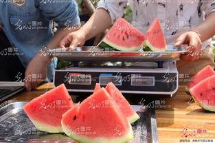 娱乐吃瓜酱山东